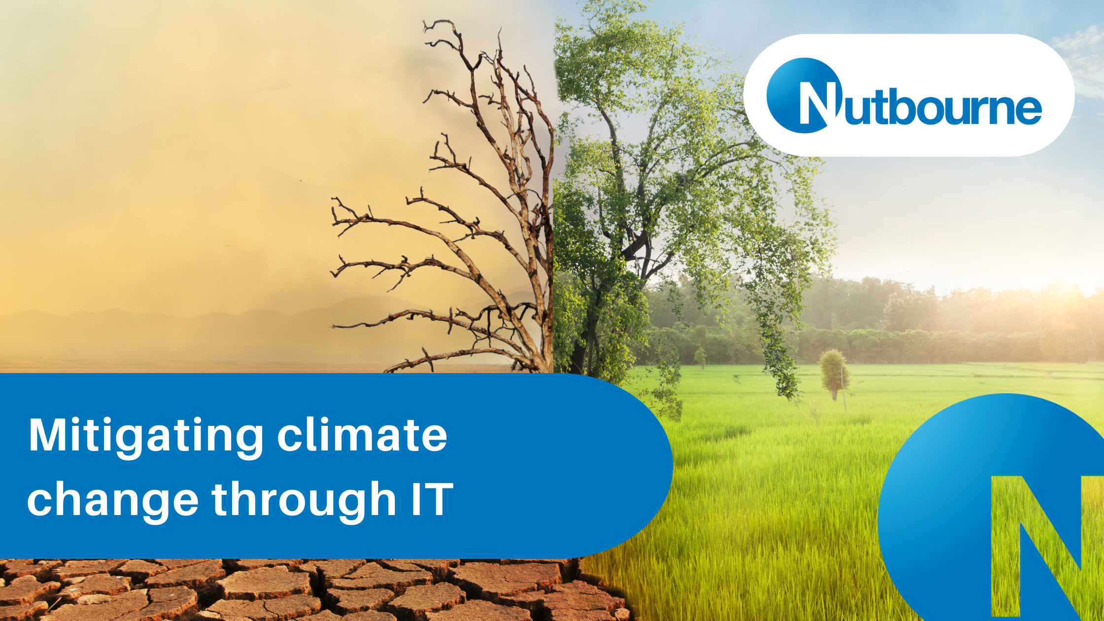 Mitigating climate change through IT